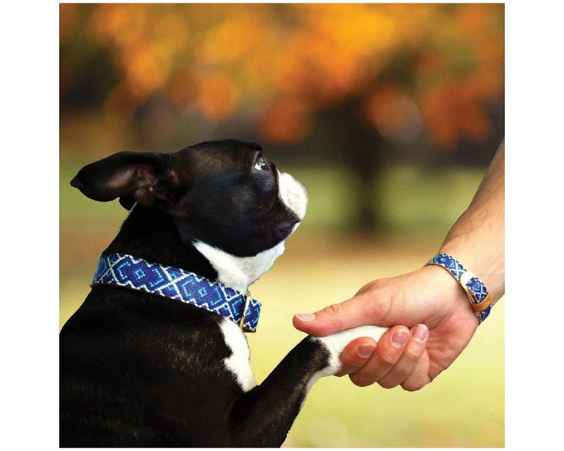 Stacked bangle bracelets with alternating textures for a dynamic, trendy look-Mucky Pup Friendship Collar & Bracelet Set