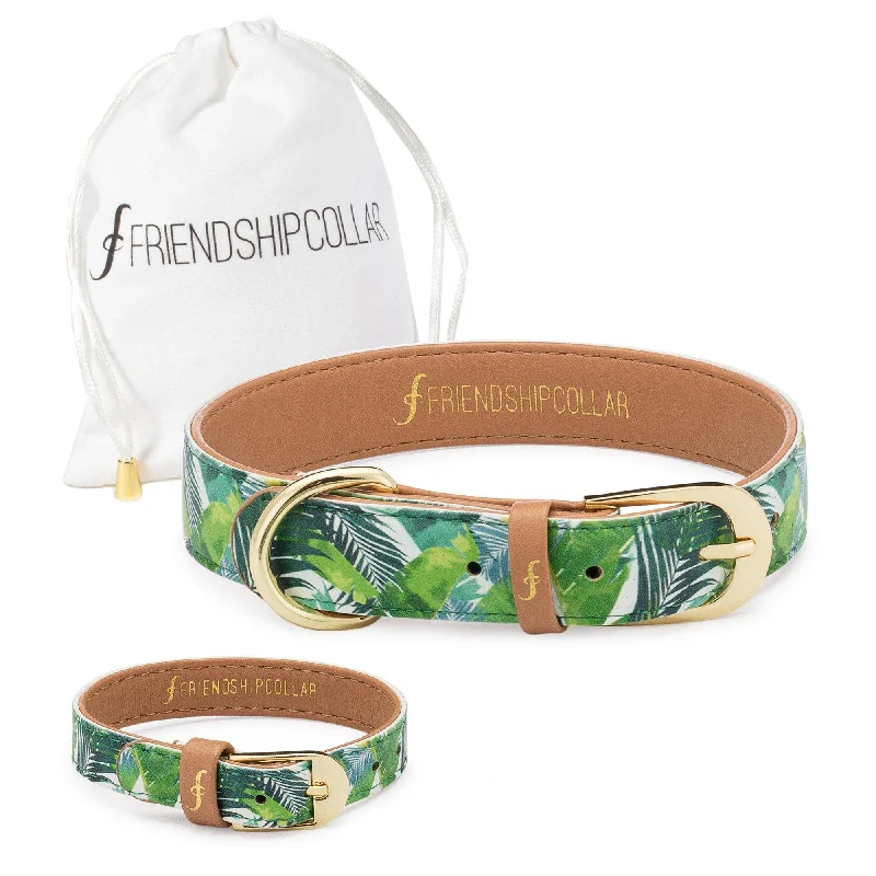 Wide metal bangle bracelets with engraved patterns for a luxurious and intricate look-Saint Barkez Friendship Collar & Bracelet Set