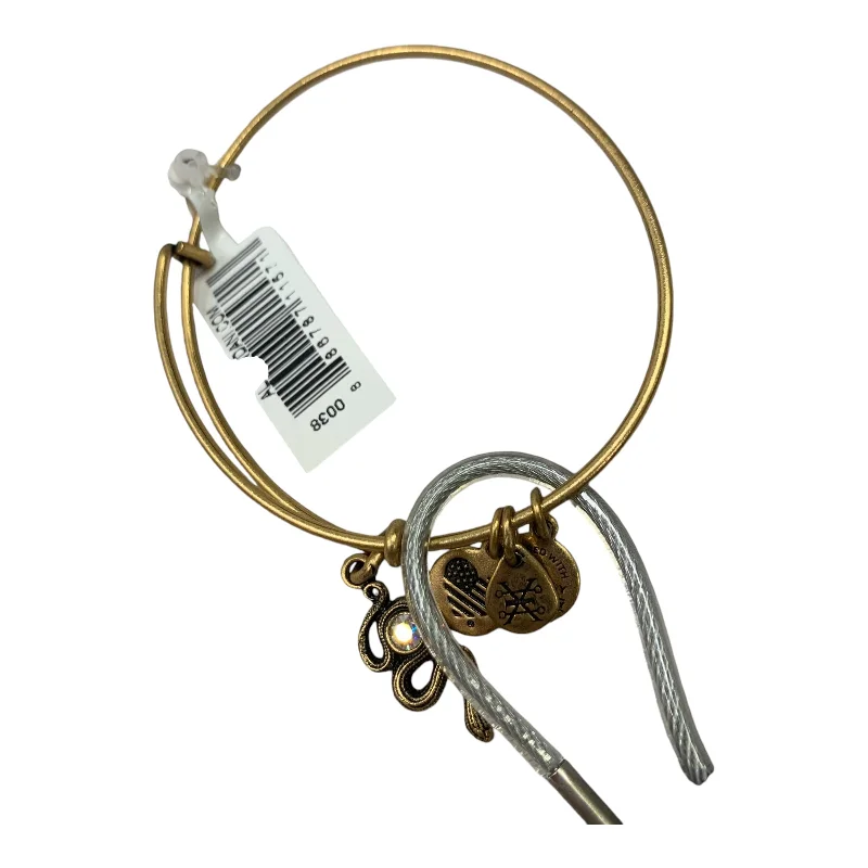 Best bangle bracelets with solid gold for an elegant and luxurious design-Bracelet Charm By Alex And Ani